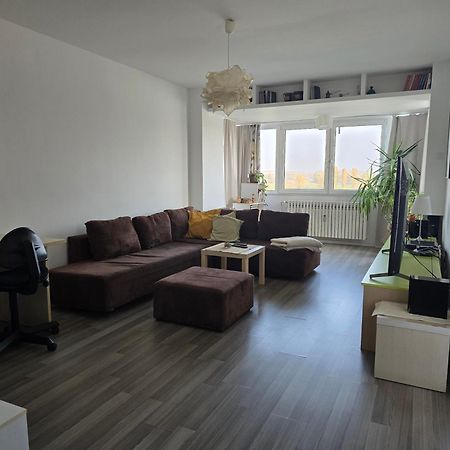 Riverview Apartment オシエク エクステリア 写真